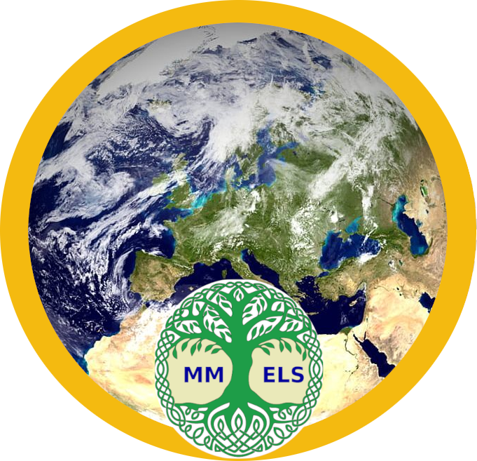 2MELS logo